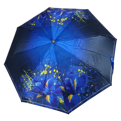 Купить зонт Три слона L3887 в Минске | Интернет магазин зонтов Zonts.by -  оригинальные Японские зонты в Минске