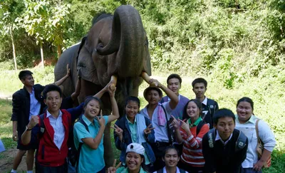 Leah Lee - Зуб слона может весить до девяти килограмм! | Facebook