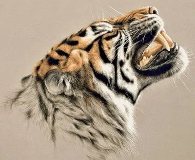 Шедевр, зверь тигр скалит зубы , …» — создано в Шедевруме