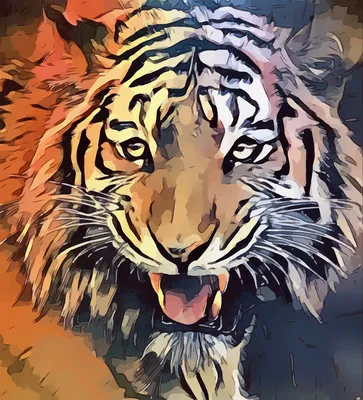 Картинки тигр Зубы Оскал Усы Вибриссы животное